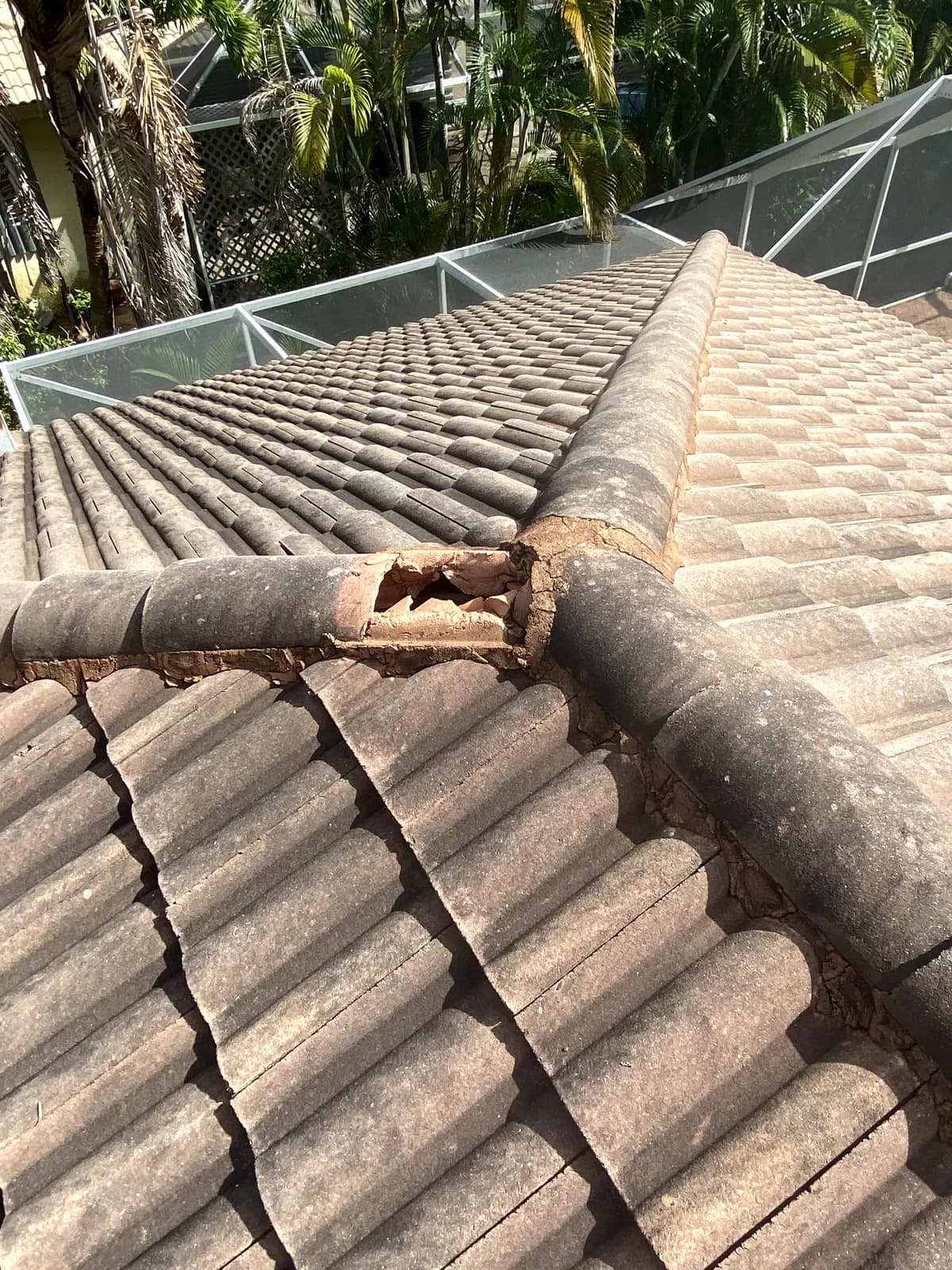 Broken hip ridge cap tile with exposed mortar on a barrel tile roof, with a pool screen enclosure and palms in the background