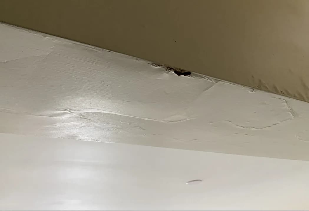 Prevent Further Roof Damage Due To Leaks - Make Necessary Repairs Through Your Insurance Claim's Expense