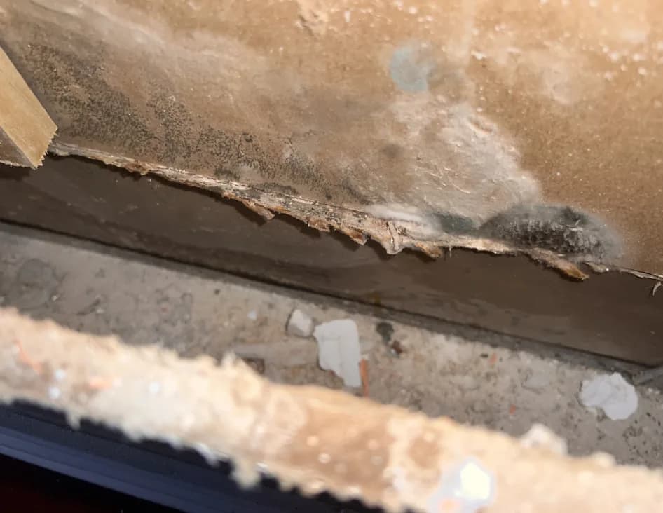 A Public Adjuster's Role In Filing Storm And Hail Damage Claims
