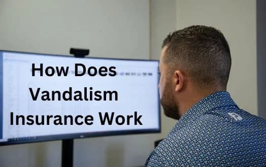 How Does Vandalism Insurance Work - Does Insurance Cover Vandalism And Malicious Mischief Insurance