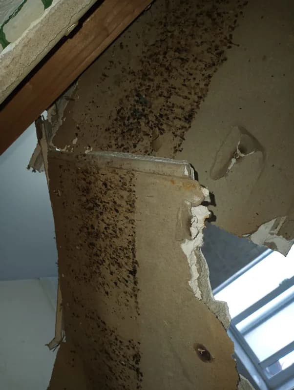 Frequently Asked Questions About Our Public Claims Adjuster And The Services We Offer