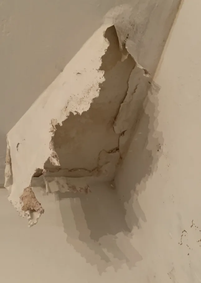 Are Roof Leaks Included In A Home Insurance Coverage