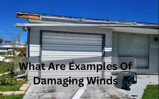 What Are Examples Of Damaging Winds - How Should You Address Wind Damage Due To Severe Weather