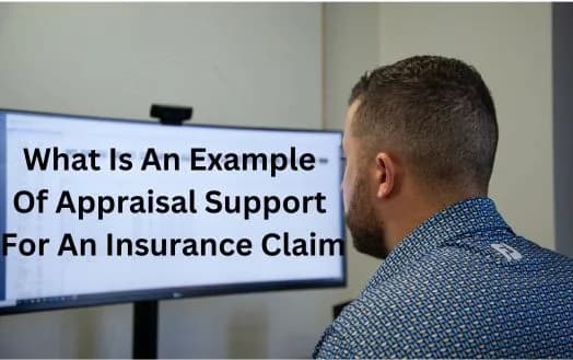 What Is An Example Of Appraisal Support For An Insurance Claim - Navigating Through Insurance Appraisal