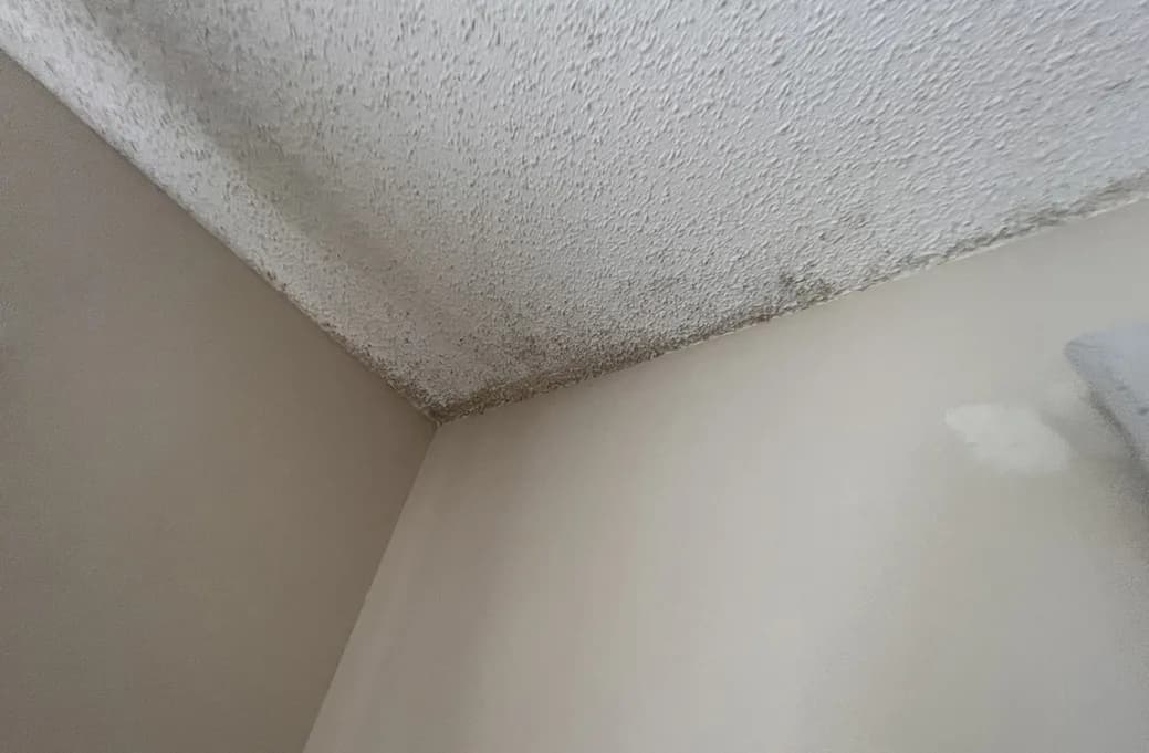 Public Adjusters Handling Roof Leak Claims With Expertise