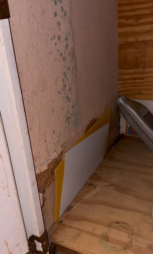 Professional Documentation Of Information From Vandalized Properties