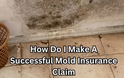 How Do I Make A Successful Mold Insurance Claim - Does Insurance Cover Mold Damage