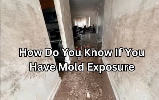 How Do You Know If You Have Mold Exposure - Symptoms Of Mold Exposure