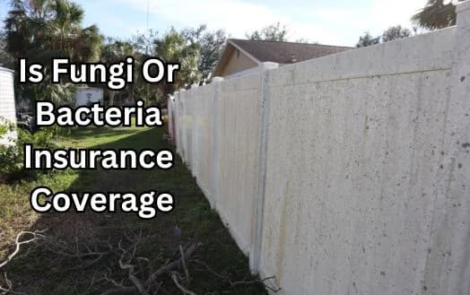 Is Fungi Or Bacteria Insurance Coverage - Does Fungi And Bacteria Cover Homeowners Insurance