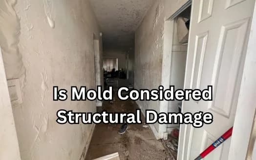 Is Mold Considered Structural Damage - Does Mold Cause Structural Damage