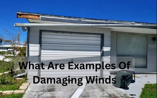 Decimating Wind What Are Examples Of Damaging Winds | Dolphin Claims